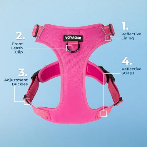 Image of Voyager Dual Attachment No Pull Harness - Fuchsia, X-Small | 13 - 16 inch in Chest, No Pull Dog Harness, Fully Adjustable, 3M Reflective Technology, Front & Back D-Rings, Walking & Training