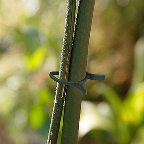 100 Stück Pflanzenclips – 90 Grad Biegeclips Für Tomaten, Obstbäume & Gartenpflanzen