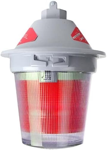 Edwards Signaling 107DV2PSTR-N5 HAZ_LOC_STROBE_PENDANT