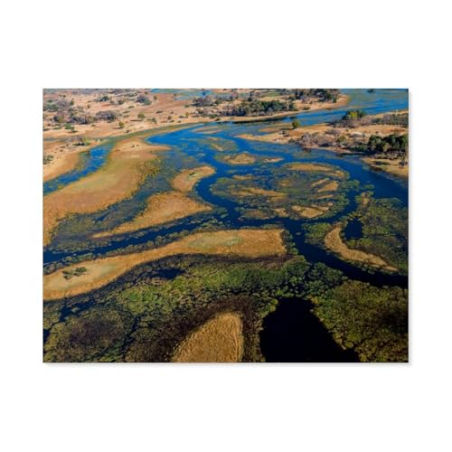 3D Puzzle DIY Kit Papier Spielzeug Einzigartiges Geschenk，Im Okavango-Delta bei Bukwi Island， 3D Puzzle DIY Kit Papier Spielzeug Einzigartiges Geschenk（50x70cm）-AS68
