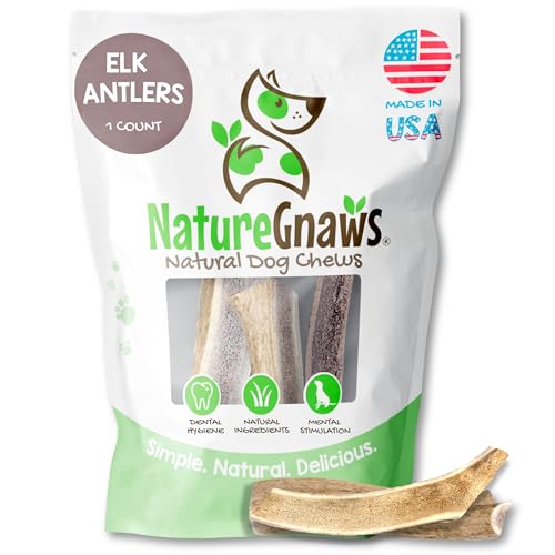 Nature Gnaws USA Elk Antlers for Dogs 5-8