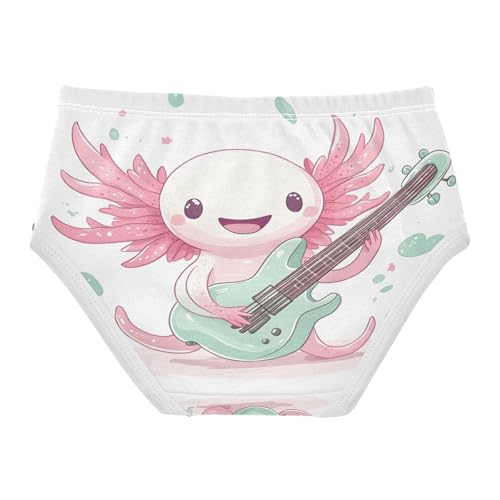 C Toddler Girls's Underwear 2T 202b88722