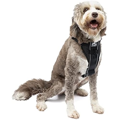 Kurgo Tru-Fit Smart Harness, Black, Extra Large