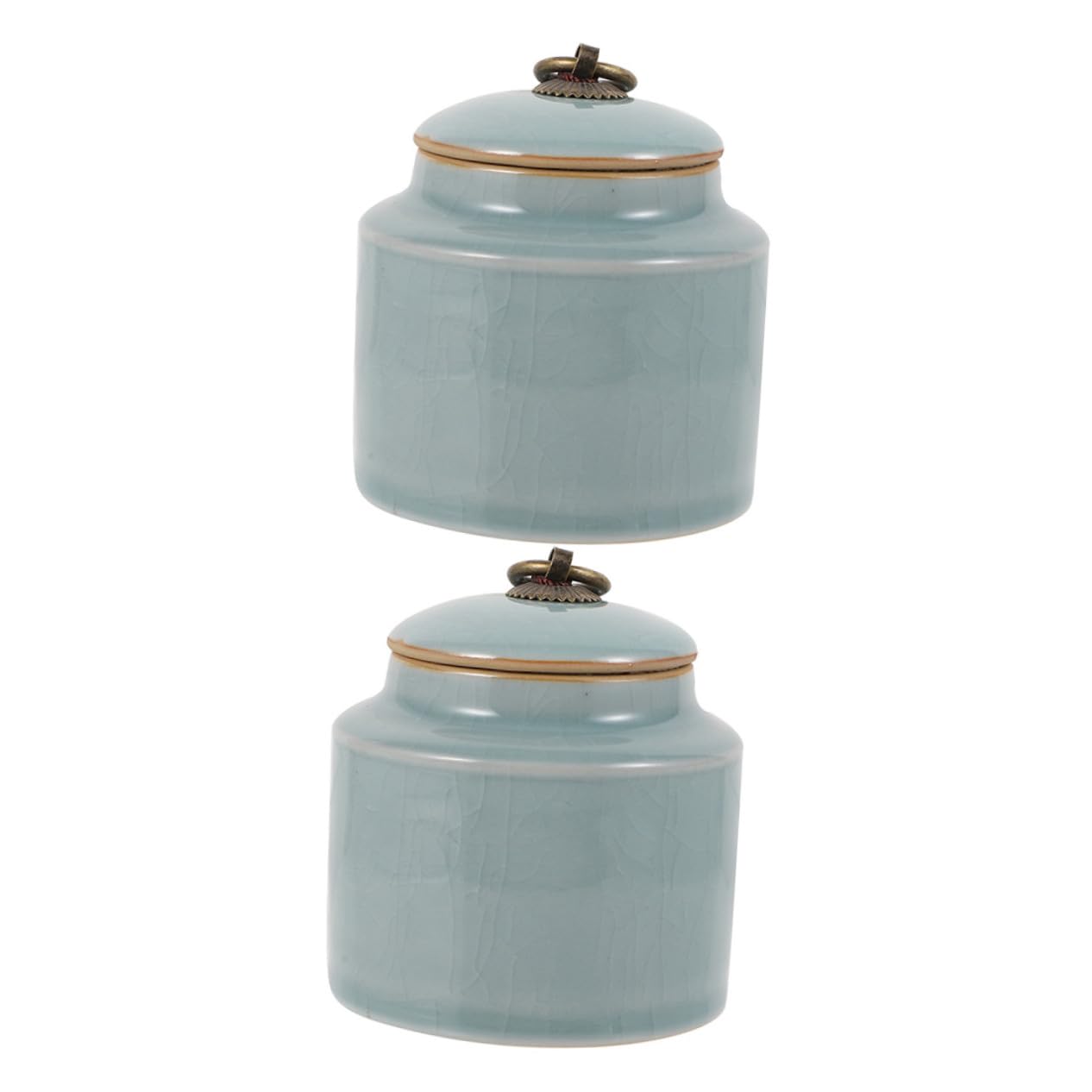 Barattoli Ceramica 2 Pezzi, Contenitori Ceramici Sigillati per Tè | Grande Capienza, Copertura Chiusa, Facile Pulire e Riporre, per Casa e Supermercati