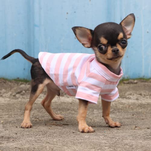 Lophipets 100% Breathable Cotton Striped Dog Tee Shirt T-Shirt For Small Dogs Teacup Chihuahua Yorkie Puppy Clothes -Pink And White Strips/Xxs #TOP5
