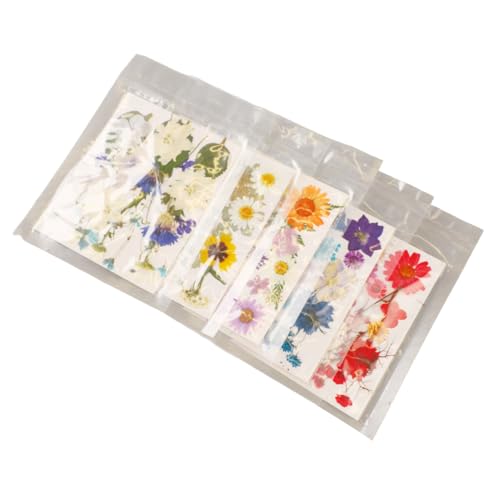 Kit de Flores Prensadas Estilos Variados para Manualidades miniatura 7