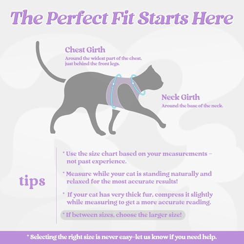Image of rabbitgoo Cat Harness and Leash Set, Step-in Soft Vest, Black-Light Purple | Escape Proof, Lightweight, Easy-on & Adjustable, Hook & Loop with Buckle, Reflective, for Kittens & Small Cats Walks, S