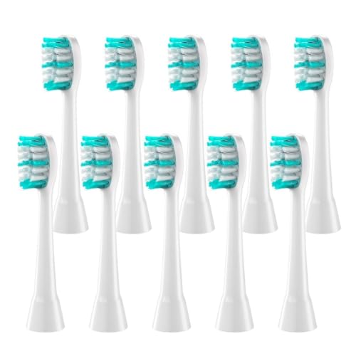 AquaSonic Black �V���[�Y & Pro �ƌ݊����̂���d�����u���V�w�b�h 10 ��(WHITE)