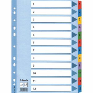 Preisvergleich Produktbild Esselte Mylar Indices & Dividers Splitter (mehrfarbig, A4)