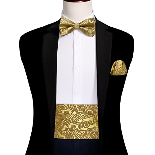 Image of Barry.Wang Men Silk Paisley Cummerbund and Pre-tied Bowtie Handkerchief Cufflink Set for Tuxedo
