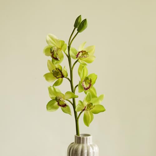 Image of PURE HOME + LIVING Green Faux Boat Orchid Spray Blossom Artificial Orchid Flowers with Pot for The Home, Garden, Office Artificial Blossom Flowers(Height-76cm) Pack of 1