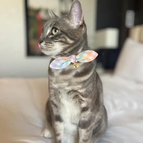 YUDOTE Coleira de gato gravata borboleta com sino, pacote com 2 coleiras de algodão com laço removív