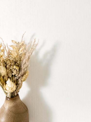 Newroom Carta da Parati Tessuto Non Tessuto Bianco Tinta Unita - Moderna Monocromatica Struttura per Soggiorno Camera Cucina