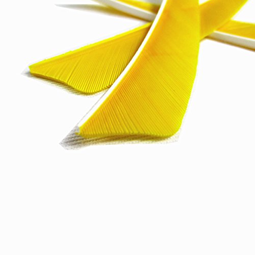 Letszhu Archery Arrows Feather Fletching 4 Inch Real Turkey Vanes For Hunting Target Shooting (25 Pack) (Yellow) #TOP3