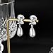 Awinesn Pearl Clip on Earrings for Women 14K Gold/Silver Plated Pearl Earrings Cubic Zirconia Non Pierced Earrings for Women Jewelry Gifts Wedding Party Fashion Trendy Jewelry Gifts (5CZ leaves-S)