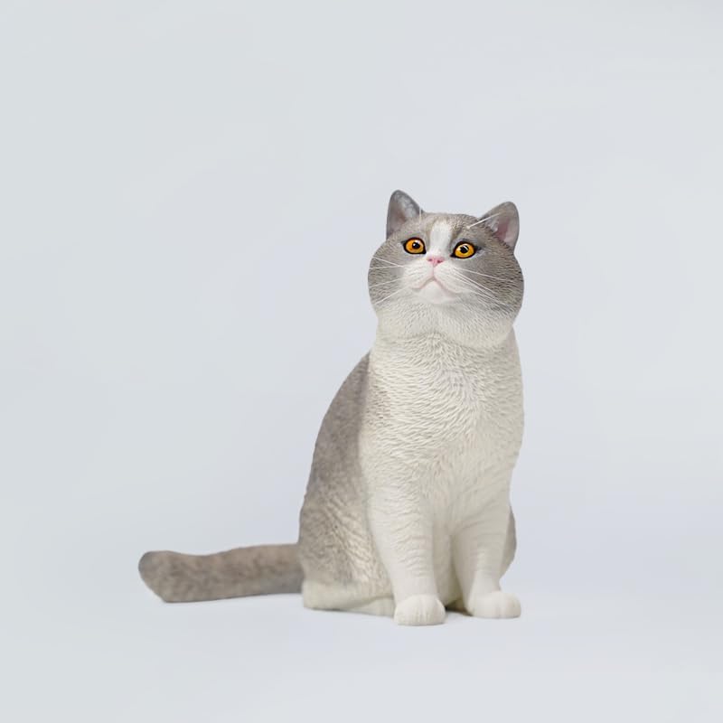MMOS X JXK 1/6 British Shorthair Cat Healing Statue Realistic Felidae Animal Model Home Decoration Birthday Gift for Cat Lovers