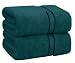Cotton Craft - 2 Pack Ultra Soft Oversized Extra Large Bath Sheet 35x70 Teal - Weighs 33 Ounces - 100% Pure Ringspun Cotton - Luxurious Rayon trim - Ideal for everyday use - Easy care machine wash