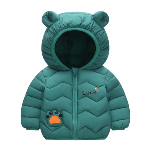 Thermal Puffer with Hood Padded Down Jackets for Kids Girl Boy Winter Fall Fleece Lined Wool Padded Jacket Hoods Outfits Child Zip Up 2025 Clothing Fashion 12 Months