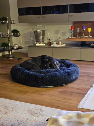 pfoten&nasen® Wolke 7 Hundebett XL [Hellgrau, 105 cm] – Donut-Kissen für große Hunde – Waschbar & flauschig mit abnehmbarem Bezug