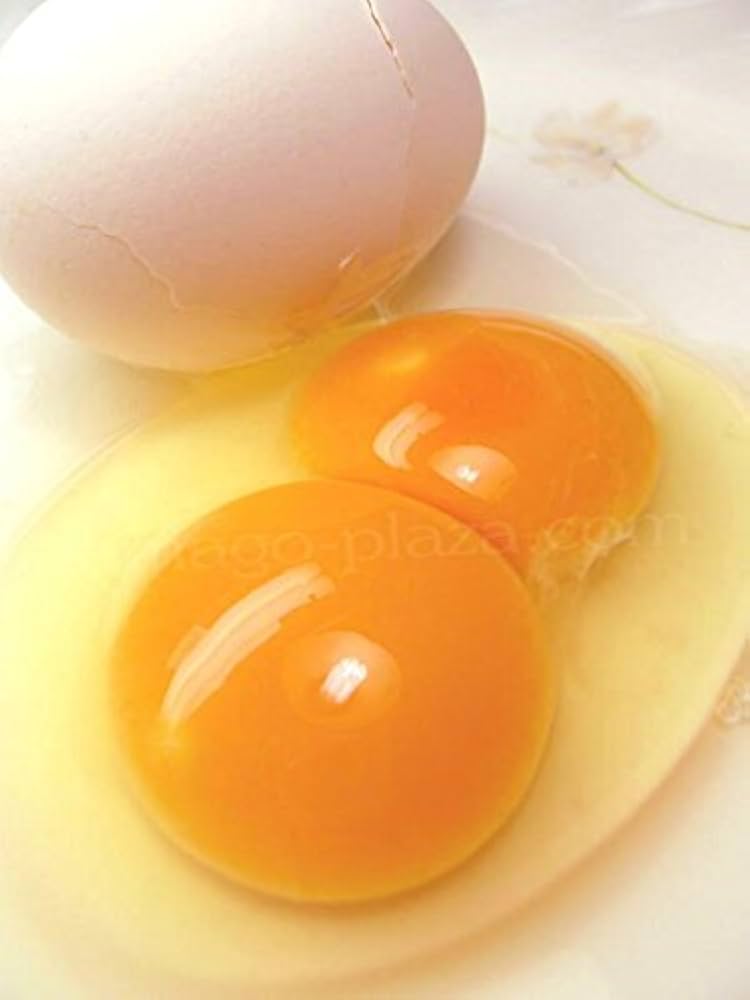 二黄卵 二黄卵48個入り（ケージ飼育白卵） | ecocco STORES