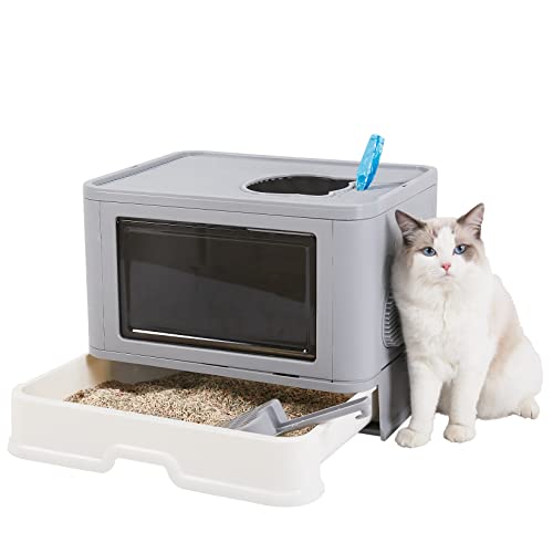 List of Ten Best Litterboxes Top Picks 2023 Reviews