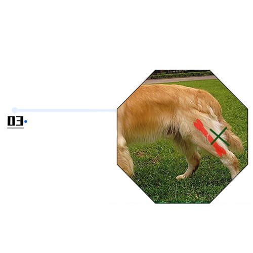 Hogvinnatil Kniebandage für Hunde, Hüftschiene für Hunde, orthopädisch, Hip Hock Support | tragbarer Wundschutz für Haustiere zur Erholung der Kleinen