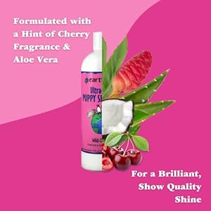 earthbath, Ultra-Mild Wild Cherry Puppy Shampoo – Extra Gentle & Tearless Dog Shampoo, Made in USA, Deodorizing Dog Wash, Cruelty Free Puppy Supplies, shampoo for Smelly Dogs – 16 Oz (2 Pack)