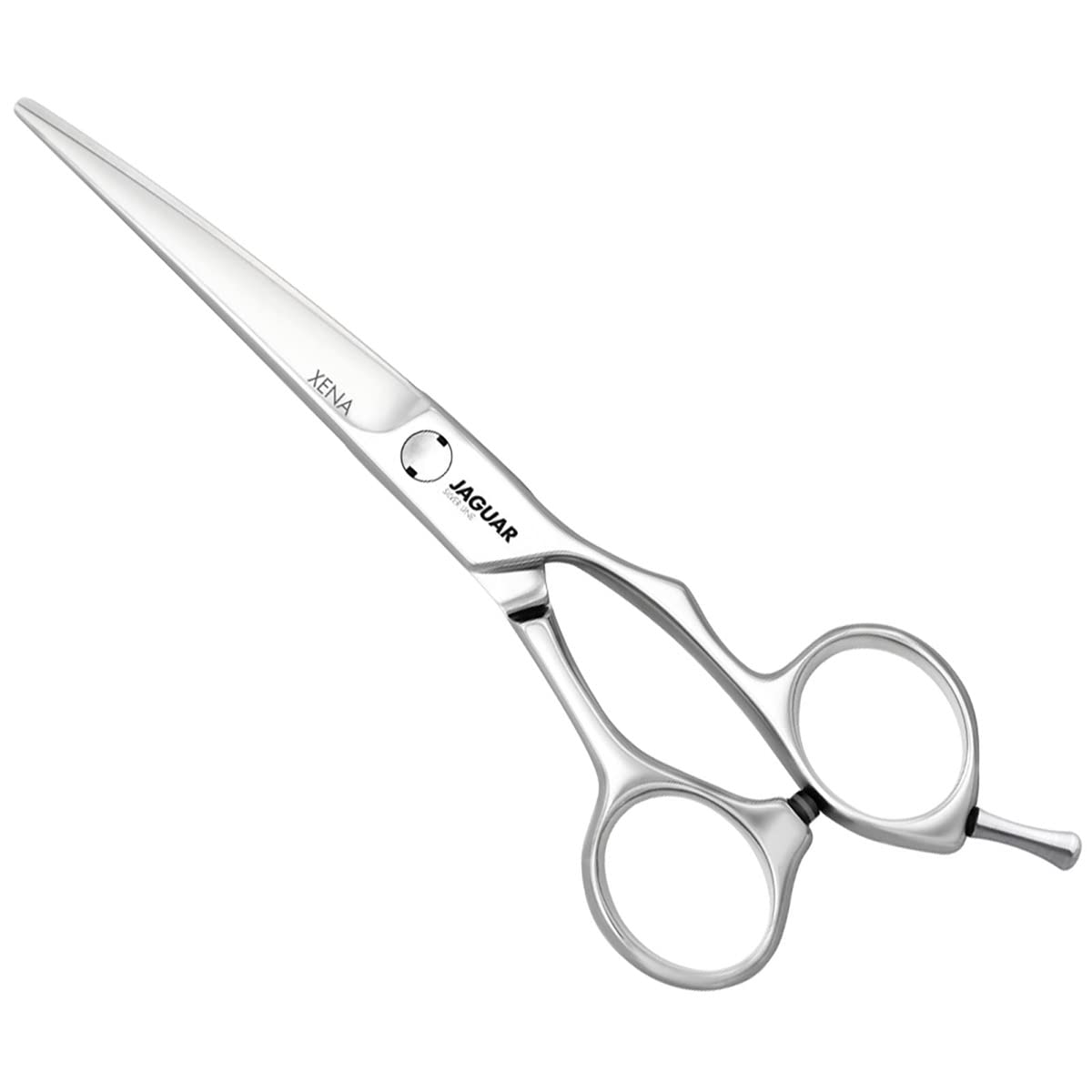 Jaguar - Silver Line - Xena - 6.0"