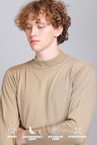 Image of GODFREY Woolen Full Sleeve Sweaters for Men Winter Wear - Turtle Neck Pullover for Men Stylish