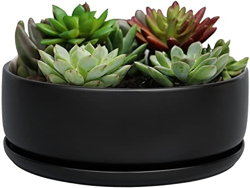 SQOWL 8 Inch Modern Round Flower Pot Black Ceramic Cactus Succulent Planter Bowl with Removable Saucer