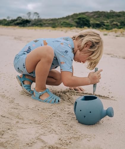Image of Boys One Piece Swimsuit Whale Dolphin Bathing Suit Zipper Rash Guard Kid Short Sleeve Swimwear Shark Beach Wear UPF50+