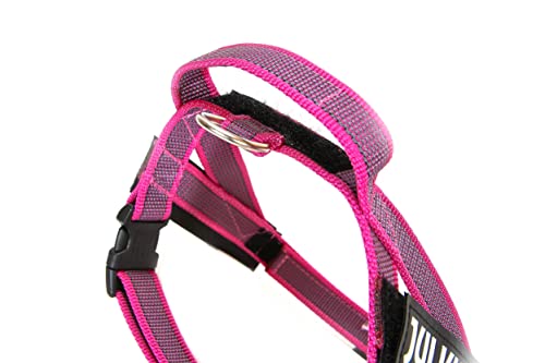 Julius-K9, IDC® Color & Gray® Beltgeschirr