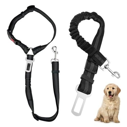 Diompirux 2 Piezas Seguridad de Coche para Perros, Cinturon de Seguridad Ajustable para Coche, Cinturón Perro Coche con elástico y Fuerte mosquetón, para Todas Las Razas Perros y Gatos