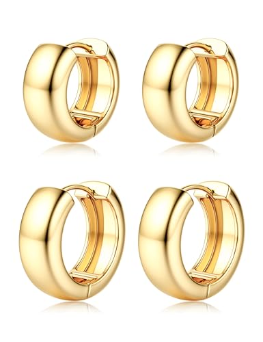 Chriscoco 2 Pares Pendientes Aro Plata Mujer Aros Dorados Mujer Hipoalergénicos Pendientes Mujer Oro CZ Pequeños Pendientes Aro