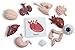 Curious Minds Busy Bags Montessori Human Organ Match - Miniature Body Parts with Cards to Match - Early Childhood Biology Learning Toy