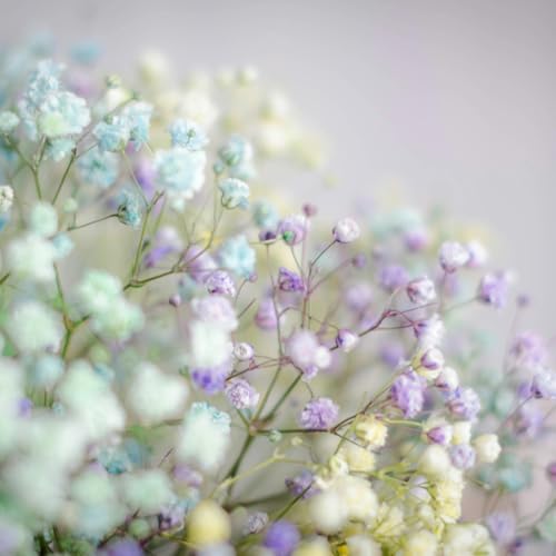 Flores Secas Naturales Azul Para Manualidades 96pz miniatura 4