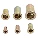 Fiyuer 200 Piezas Remaches Tuerca Threaded Insert Inox Roscado Acero Inoxidable Nutsert...
