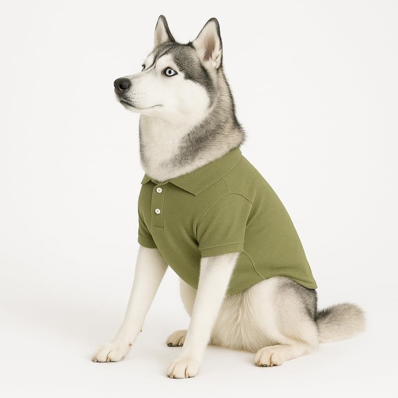 Image of Thunder Tails Premium Cotton Polo Dog T-Shirt | for Small Dogs & Puppies |Olive| Large | for Pugs, Lhasa Apso, Poodle, Dachshund & Pomerian