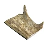 ARTISAN GIFT CO Asta de Gamo, Mordedor para Cachorros y Perros, Cuernos 100% Naturales. (Talla L - 1 und. Peso mínimo Unidad 150 gr.)