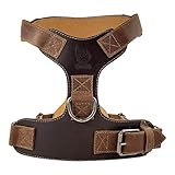 Taco Dog, Dog Harness Handmade from Full Grain Leather - Easy and Comfortable Walking, Adjustable, Safe for Your Pet, Prevents Escapes, Heavy Duty Metal - Medium to Large Dog Breeds - Bourbon Brown