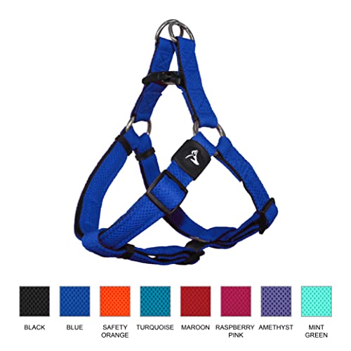 Kruz Original Heavy-Duty No Pull Dog Harness – Ultra Comfort, Lifetime Durability, Pet Harness for Small and Medium Dog Breeds (Turquoise, Medium) Kruz Original Heavy-Duty No Pull Dog Harness – Ultra Comfort, Lifetime Durability, Pet Harness for Small and Medium Dog Breeds (Turquoise, Medium)