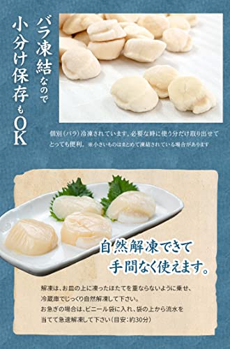 まぐろ処一条 訳あり 北海道産生ホタテ貝柱 1kg 生食用 の商品画像 4
