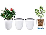 OYSIR 5.2β Self Watering Planter White Flower Pot, 3 Pcs Medium Planter Pot, Mini Plant Pot, for All Plants, Herbs, African Violets, Succulents, Flowers Or Start Plants, White, 5 inch