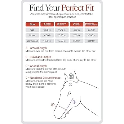 HORZE Clermont Ergonomic Padded Genuine Leather Snaffle Bridle for Horses | Flash Noseband Included - Black - Horse