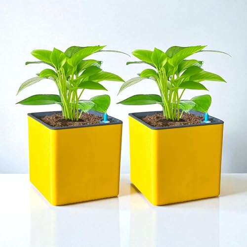 Image of Indian Discovery Self Watering Tabletop Planter| Flower Pots for Home, Terrace, Balcony, Vertical Garden Decor Flower Pots(2 PC, Yellow, Square) |6 Inch UV-Resistant Plastic Plant Pots