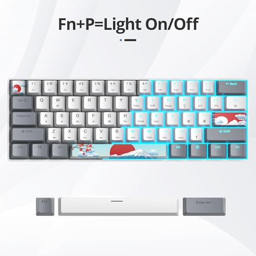 Image of 60 Percent Gaming Keyboard 61 Keys Wired Mechanical Keyboard Ultra Compact Key Board Red Switch LED Backlit for Windows Laptop Gamer(61Huibai)