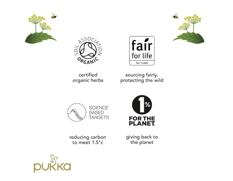 Miniatura 7 de Pukka Regalo de té, calendario de Adviento de té orgánico 2023, 24 bolsas de té