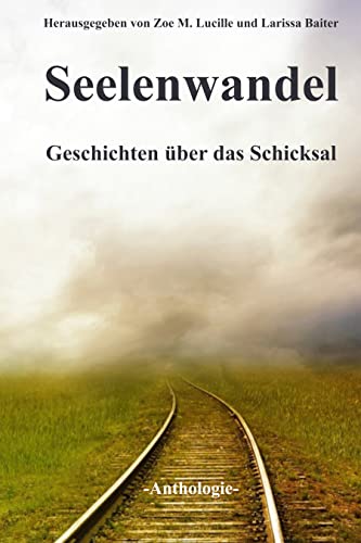 Seelenwandel: Geschichten über das Schicksal (German Edition) - Baiter, Larissa