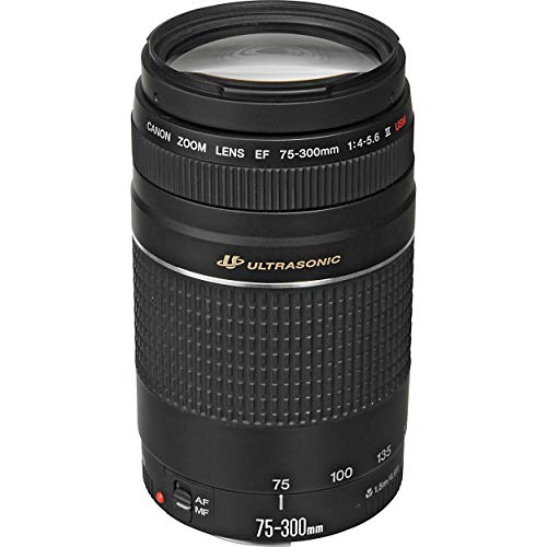 Canon EF 75-300mm f/4-5.6 III Lens PRO Bundle with Filter Kit, Telephoto and Wide Angle Lens, Tulip Hood Lens + Much More (Black) [International Version] - Thumbnail 2