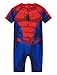 Marvel Maillot de Bain Enfant Garçon, Combinaison de Natation Garçon, Spiderman Hulk (Rouge/Bleu, 18-24 Mois, 18_Months)